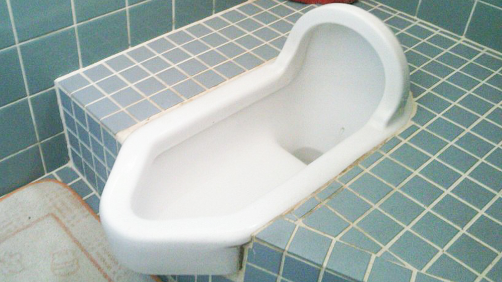 おもてなしQ&Aトイレの使い方和式トイレ画像